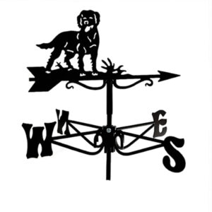 windwijzer-labrador-W5915