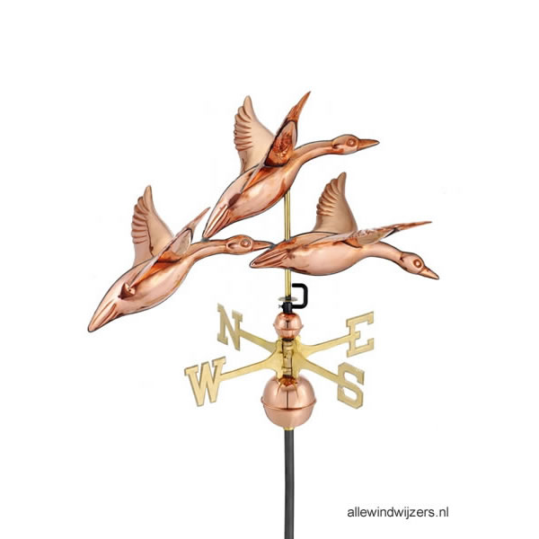 windwijzer-ganzen-W3657