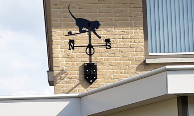 Windwijzer kat met muizen in Katwijk