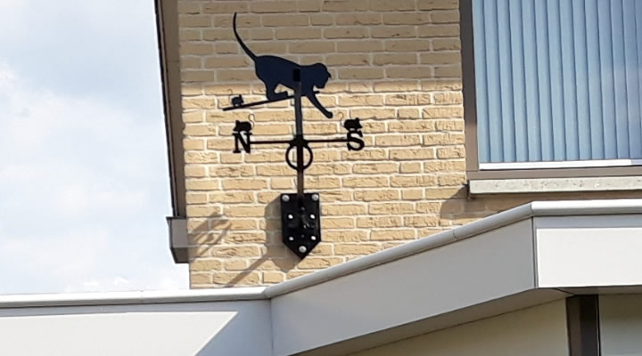 Windwijzer kat met muizen in Katwijk