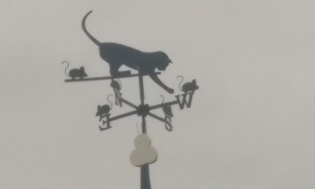 Windwijzer kat met muizen in Lies