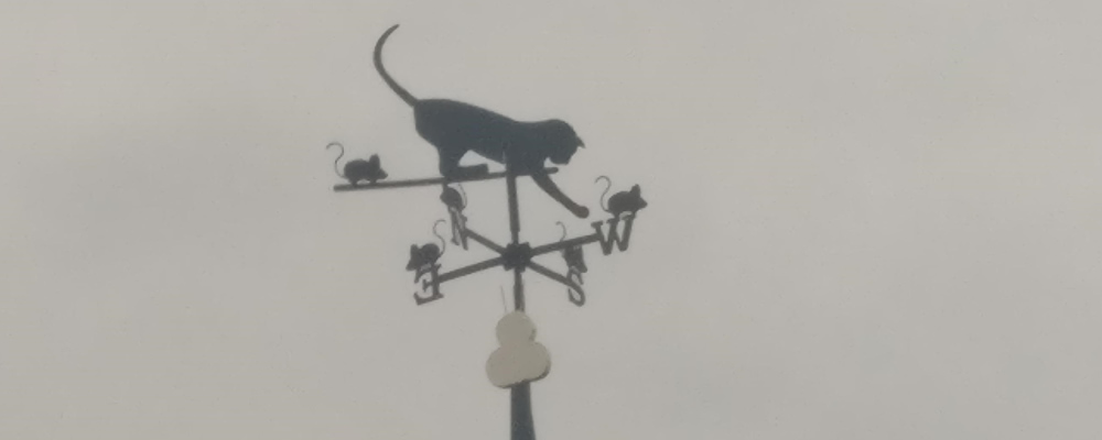 Windwijzer kat met muizen in Lies