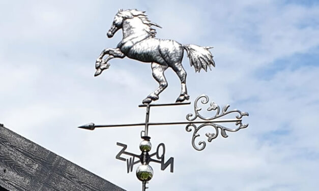 Een windwijzer in je tuin of op het dak.