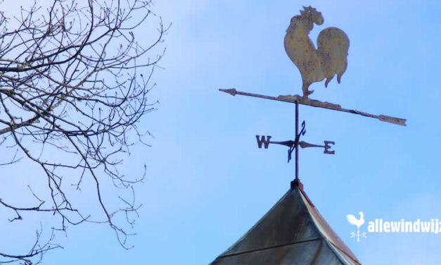 Windwijzers met Boerderijfiguren: Een Authentieke Aanwinst voor je Tuin
