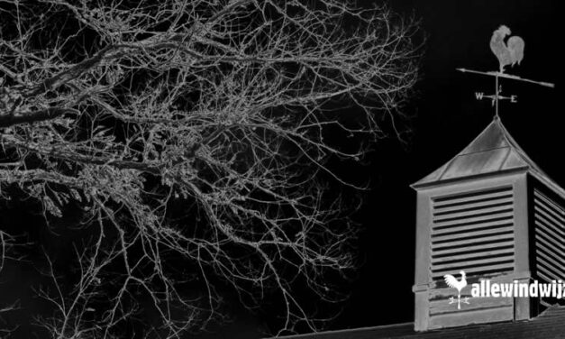 Magische Windwijzers: Heksen, Draken, Uilen en Zwarte Katten