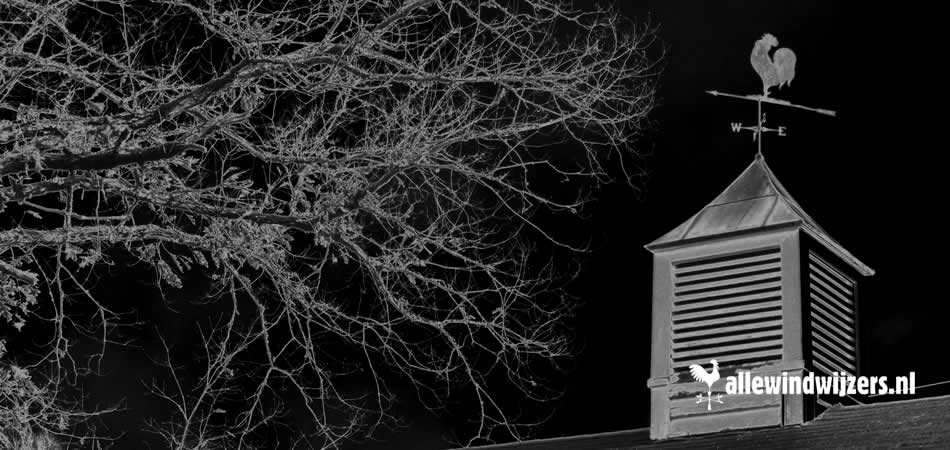 Magische Windwijzers: Heksen, Draken, Uilen en Zwarte Katten