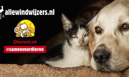 Steun dieren in Nood – Allewindwijzers steunt DierenLot