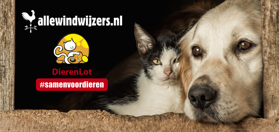 Steun dieren in Nood – Allewindwijzers steunt DierenLot