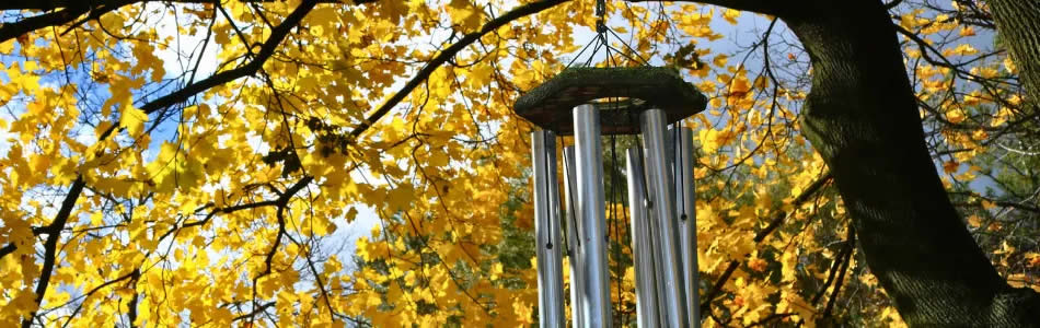 Wingongen voor in je tuin of binnen