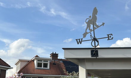 Welke windwijzer past bij jou? De complete koopgids