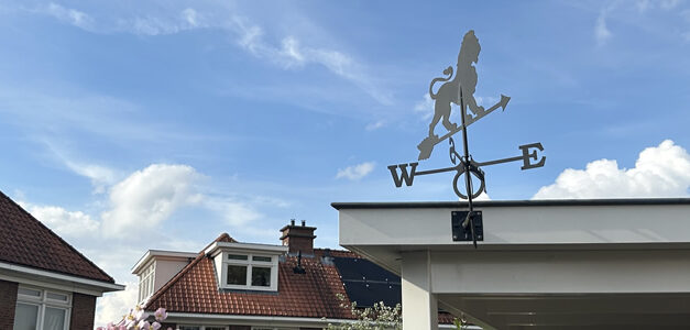 Welke windwijzer past bij jou? De complete koopgids